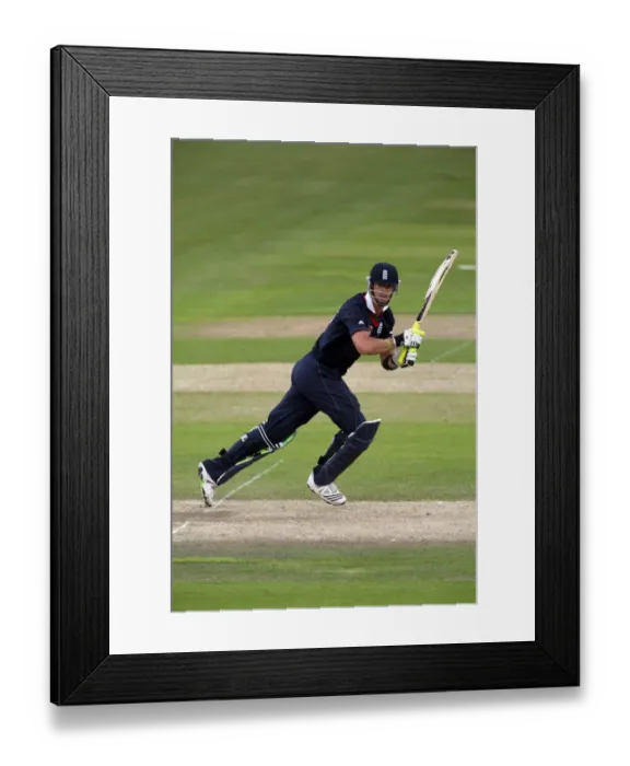 Framed Print : Kevin Pietersen Framed Print : Kevin Pietersen