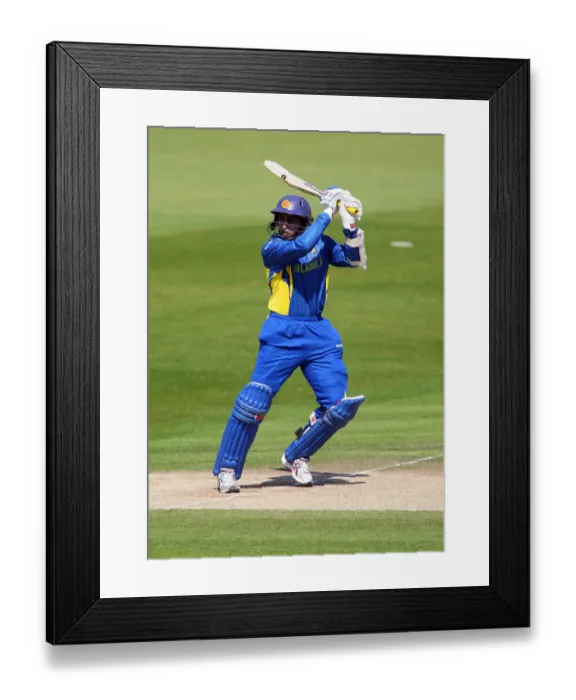 Framed Print : T M Dilshan Framed Print : T M Dilshan
