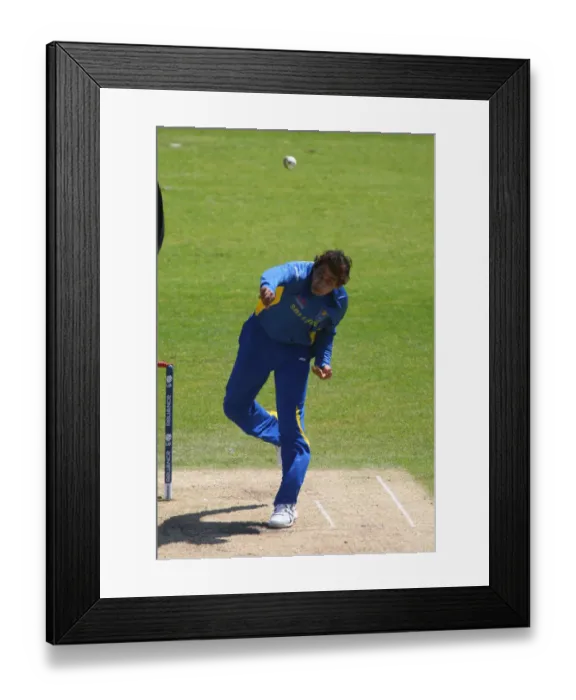 Framed Print : T M Dilshan