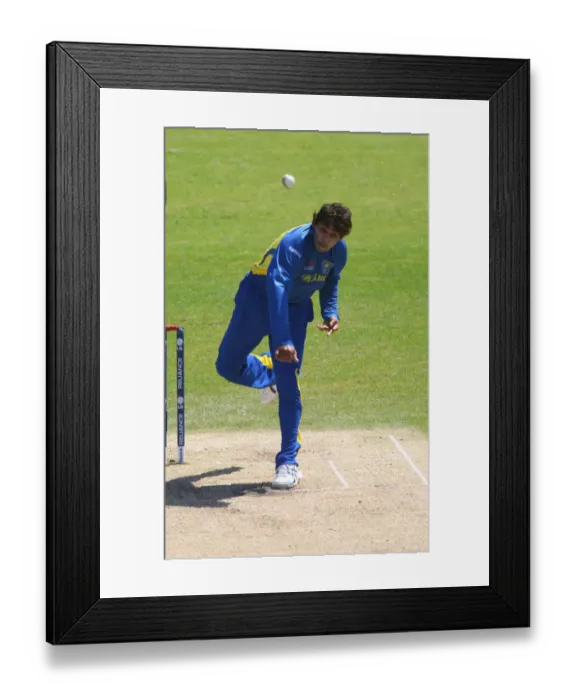 Framed Print : T M Dilshan Framed Print : T M Dilshan
