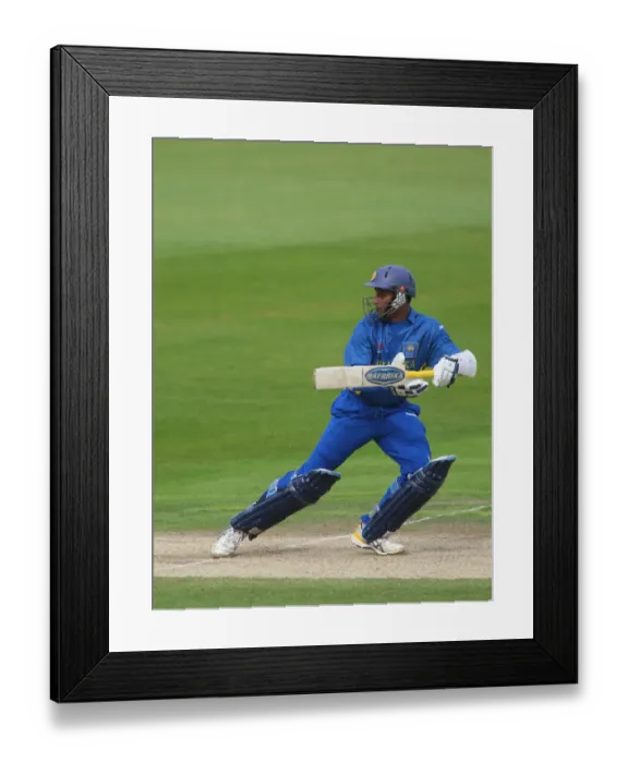 Framed Print : Indika De Saram Framed Print : Indika De Saram