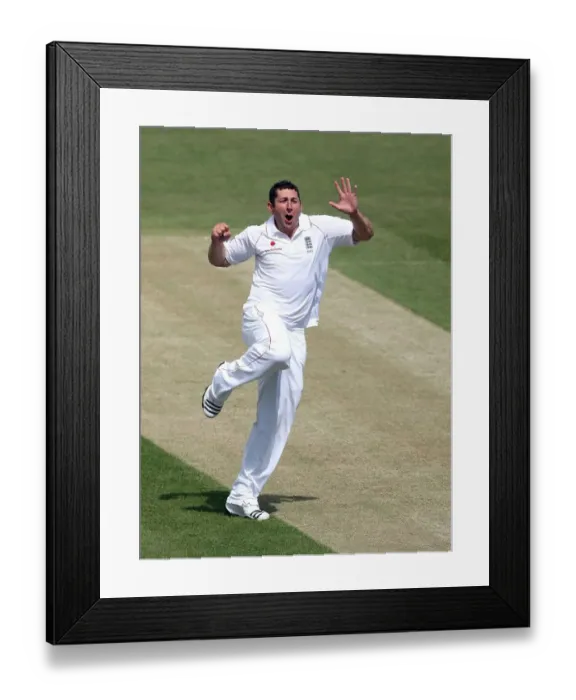 Framed Print : Tim Bresnan Celebrates Taking His 2nd Test Wicket Framed Print : Tim Bresnan Celebrates Taking His 2nd Test Wicket