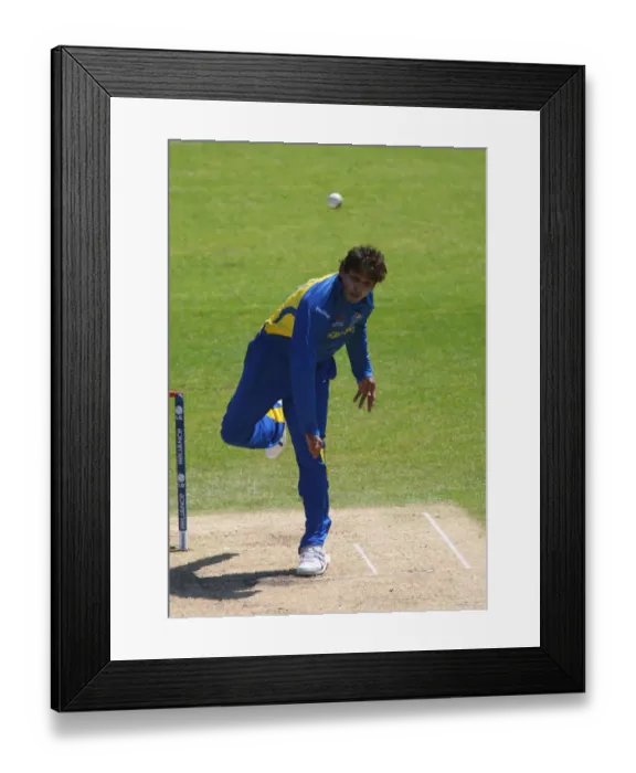 Framed Print : T M Dilshan Framed Print : T M Dilshan
