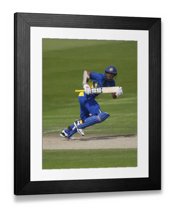 Framed Print : Kumar Sangakkara Framed Print : Kumar Sangakkara