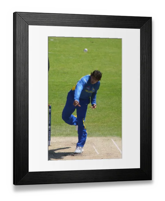 Framed Print : T M Dilshan Framed Print : T M Dilshan