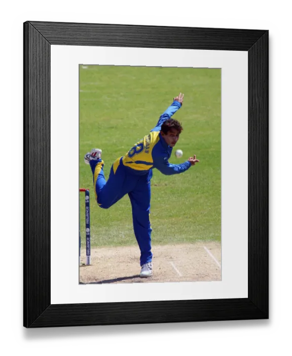 Framed Print : T M Dilshan Framed Print : T M Dilshan