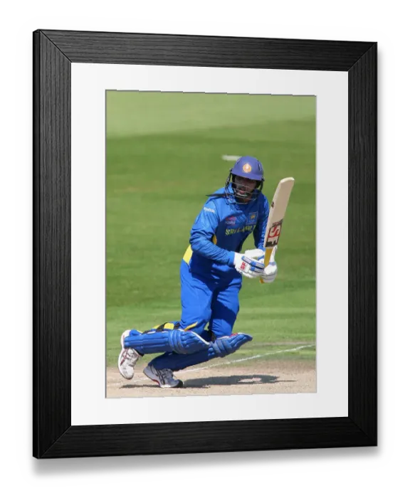 Framed Print : T M Dilshan Framed Print : T M Dilshan
