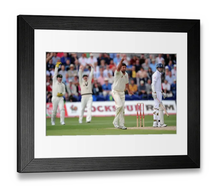 Framed Print : Ben Hilfenhaus & James Anderson Framed Print : Ben Hilfenhaus & James Anderson