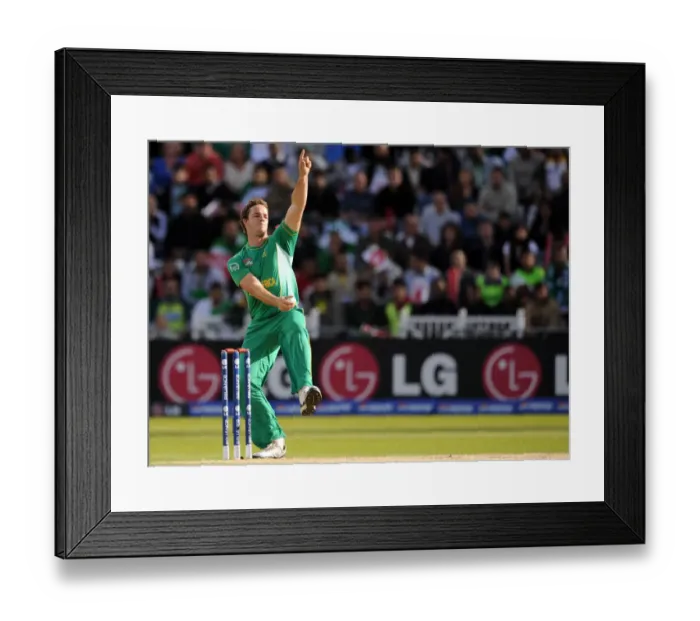 Framed Print : Albie Morkel Framed Print : Albie Morkel