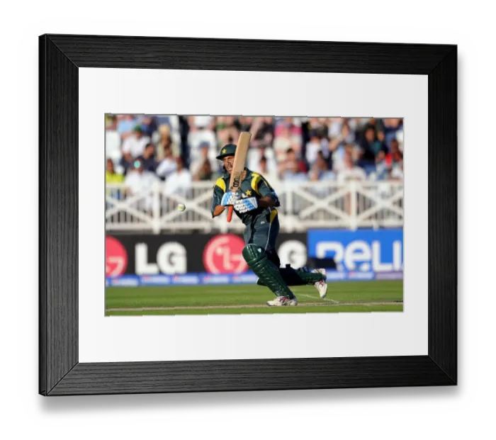 Framed Print : Younus Khan Framed Print : Younus Khan