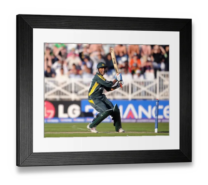 Framed Print : Younus Khan Framed Print : Younus Khan