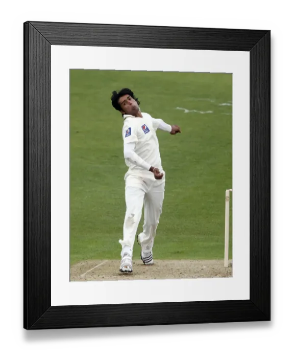 Framed Print : Mohammad Aamer Framed Print : Mohammad Aamer