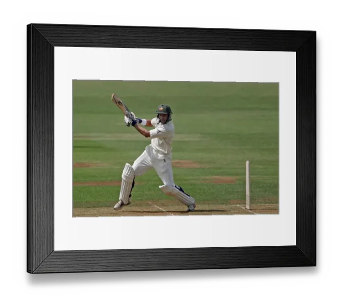 Framed Print : Michael Hussey Framed Print : Michael Hussey
