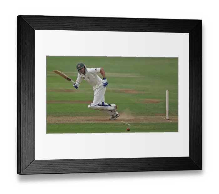Framed Print : Michael Hussey Framed Print : Michael Hussey