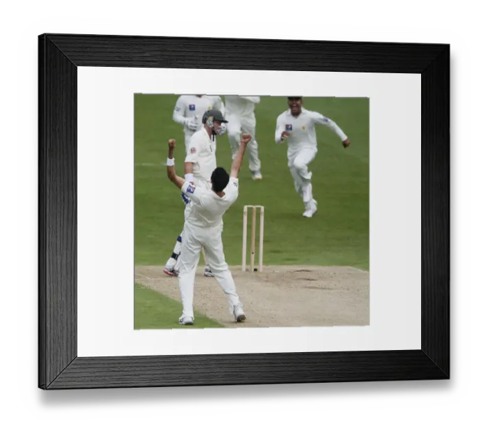 Framed Print : Umar Gul Gets Mike Hussey Lbw Framed Print : Umar Gul Gets Mike Hussey Lbw