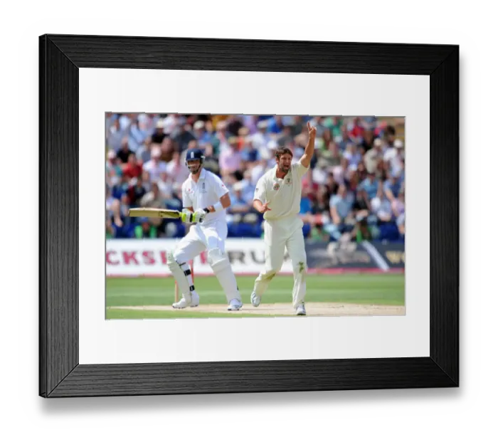 Framed Print : Kevin Pietersan Survives Appeal From Ben Hilfenhaus