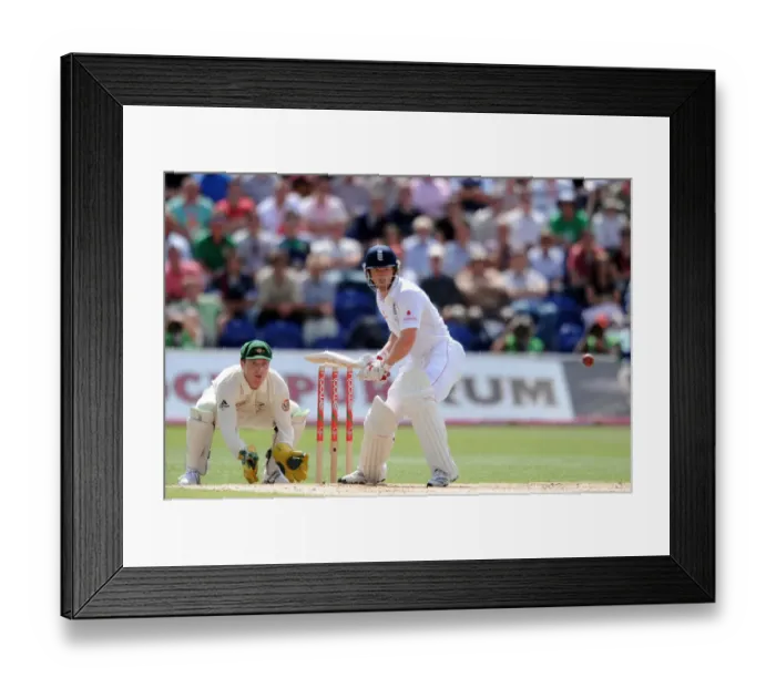 Framed Print : Brad Hadin & Paul Collingwood Framed Print : Brad Hadin & Paul Collingwood