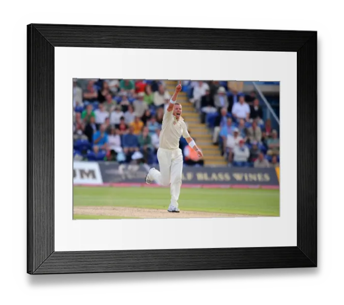 Framed Print : Peter Siddle Celebrates Matt Prior Wicket Framed Print : Peter Siddle Celebrates Matt Prior Wicket