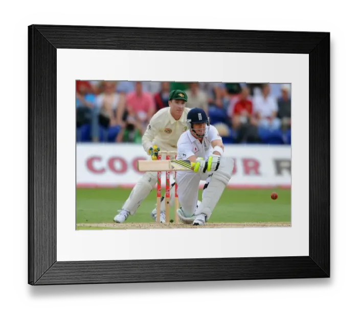 Framed Print : Brad Hadin & Kevin Pietersen Framed Print : Brad Hadin & Kevin Pietersen