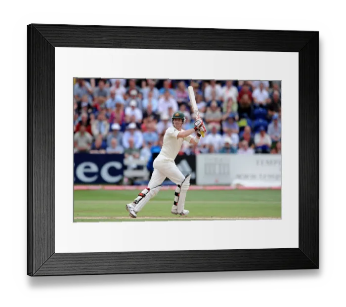 Framed Print : Brd Haddin Framed Print : Brd Haddin