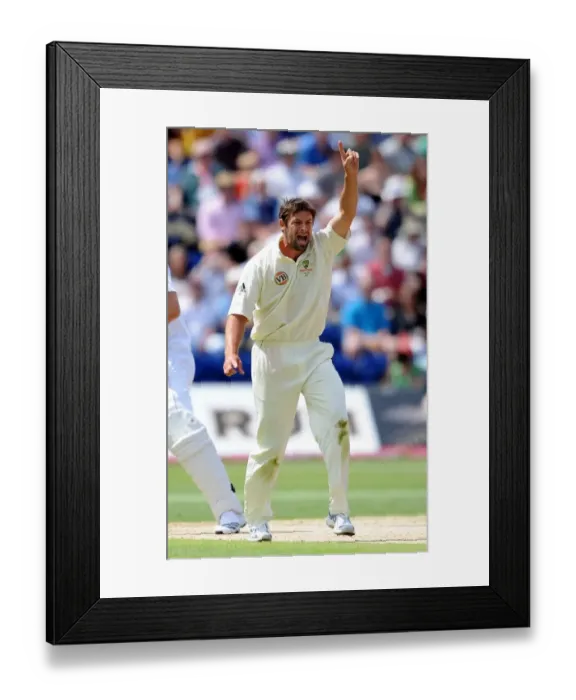 Framed Print : Ben Hilfenhaus Framed Print : Ben Hilfenhaus