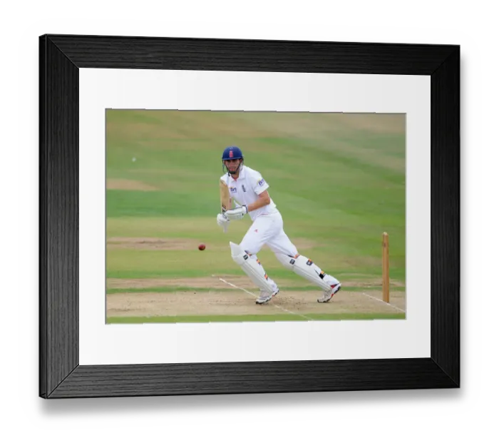 Framed Print : Alex Hales Framed Print : Alex Hales