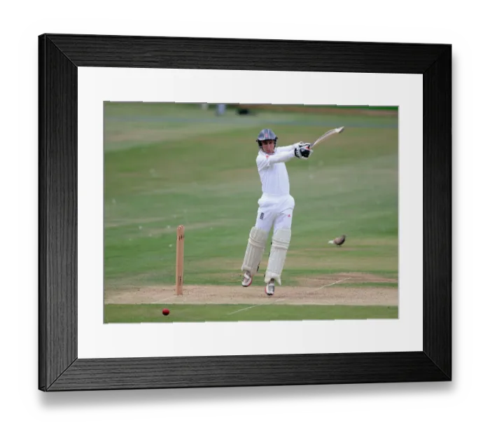 Framed Print : James Taylor Framed Print : James Taylor