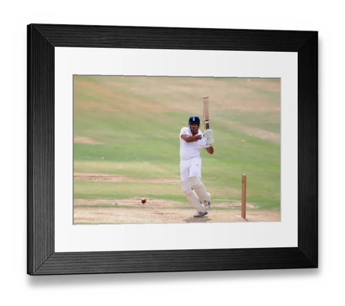 Framed Print : Samit Patel Framed Print : Samit Patel