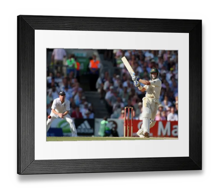 Framed Print : Mike Hussey Framed Print : Mike Hussey