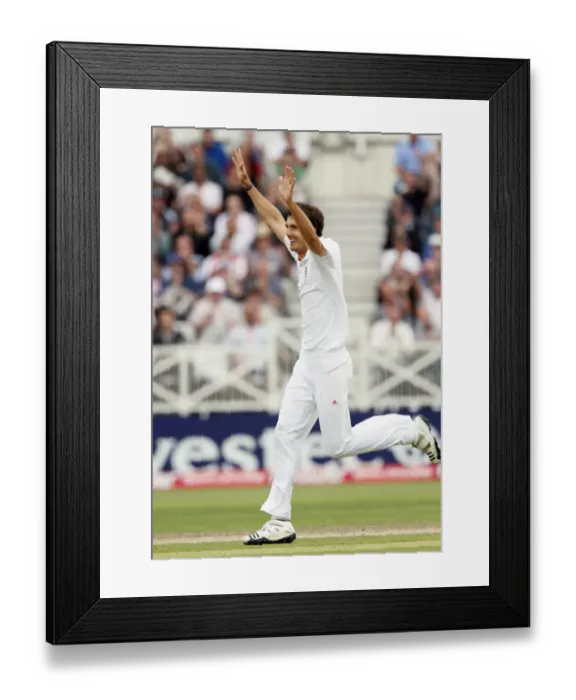 Framed Print : Steve Finn