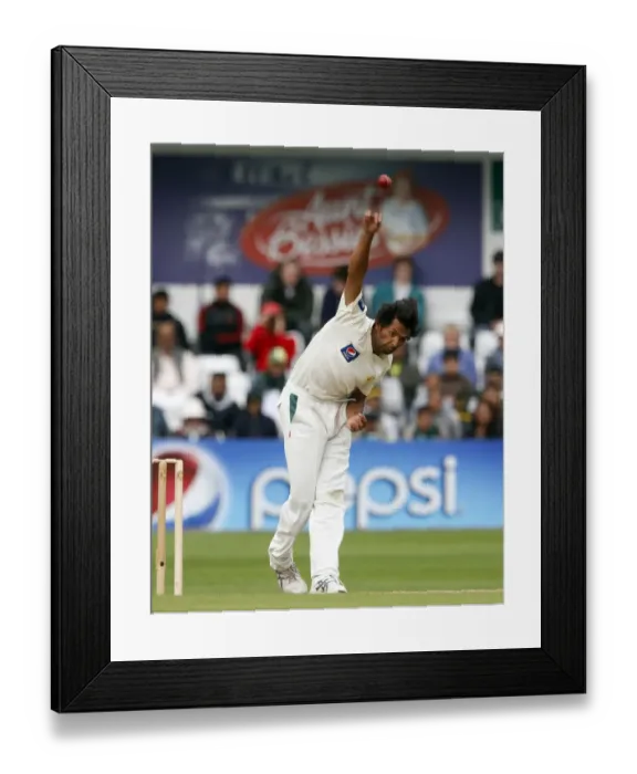 Framed Print : Mohammad Asif Framed Print : Mohammad Asif