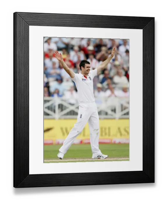 Framed Print : James Anderson Celebrates His 2nd Wicket Framed Print : James Anderson Celebrates His 2nd Wicket
