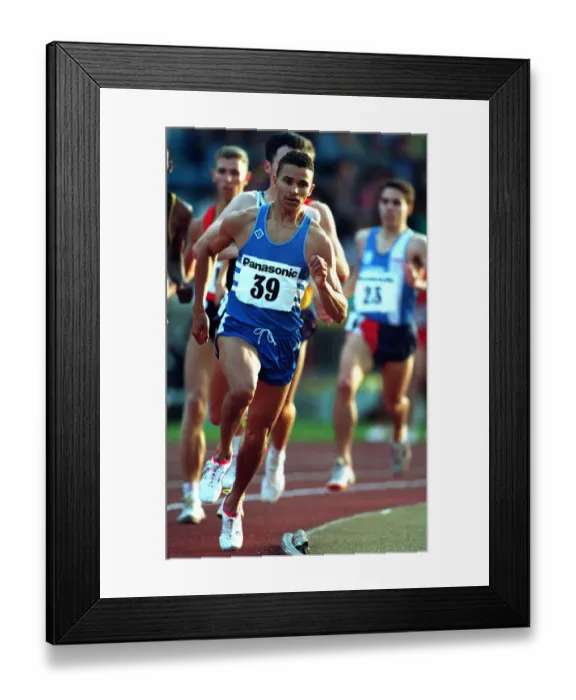 Framed Print : Martin Steele Framed Print : Martin Steele