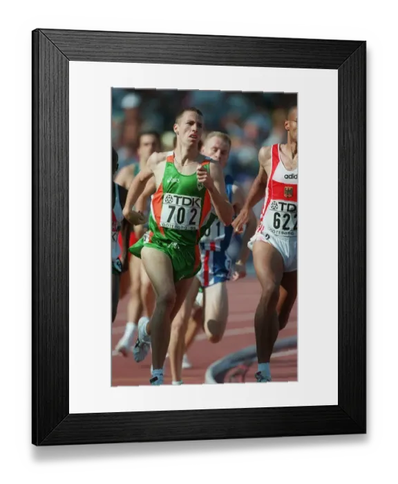 Framed Print : David Matthews Framed Print : David Matthews