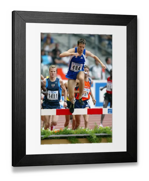 Framed Print : Vincent Le Dauphin Framed Print : Vincent Le Dauphin