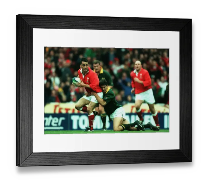 Framed Print : Shane Howarth & Henry Honiball