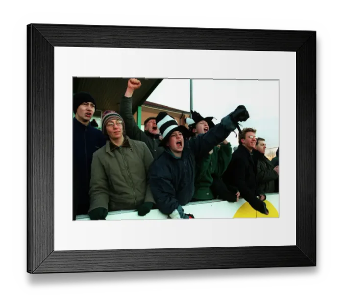 Framed Print : Newcastle Falcon Fans Framed Print : Newcastle Falcon Fans