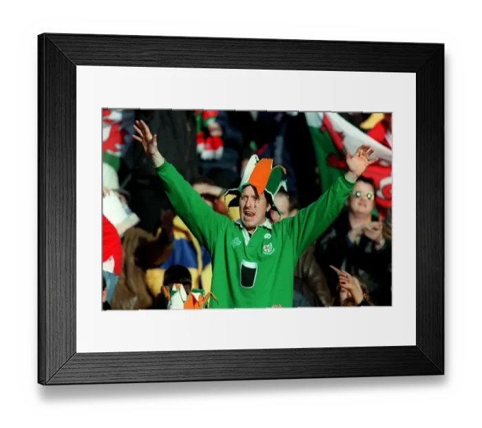 Framed Print : Ireland Fan Framed Print : Ireland Fan