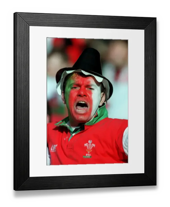 Framed Print : Wales Fan Date: 20 February 1999