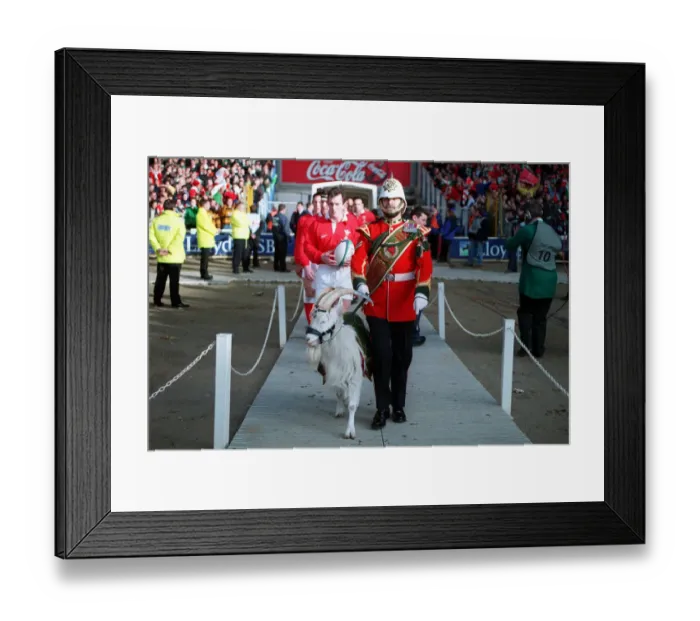 Framed Print : Regiment Mascot Leads Wales