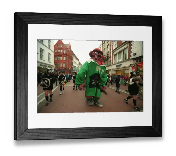 Framed Print : Ireland Fans In Dublin Framed Print : Ireland Fans In Dublin