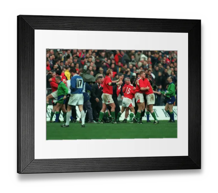 Framed Print : Wales Celebrate Victory Framed Print : Wales Celebrate Victory