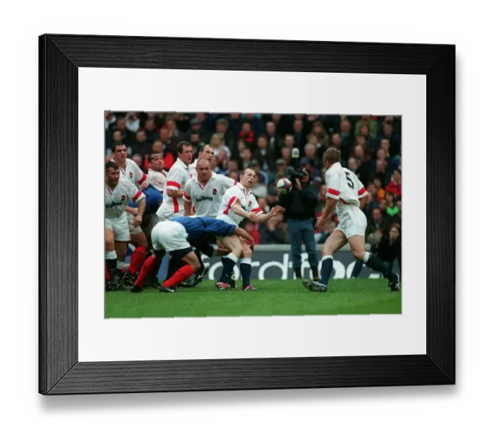 Framed Print : Matt Dawson, Thomas Lievremont