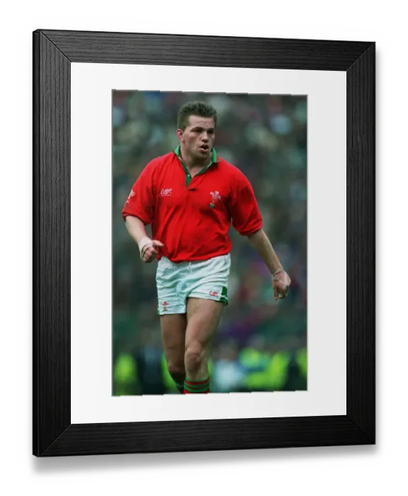 Framed Print : Richard Webster Framed Print : Richard Webster