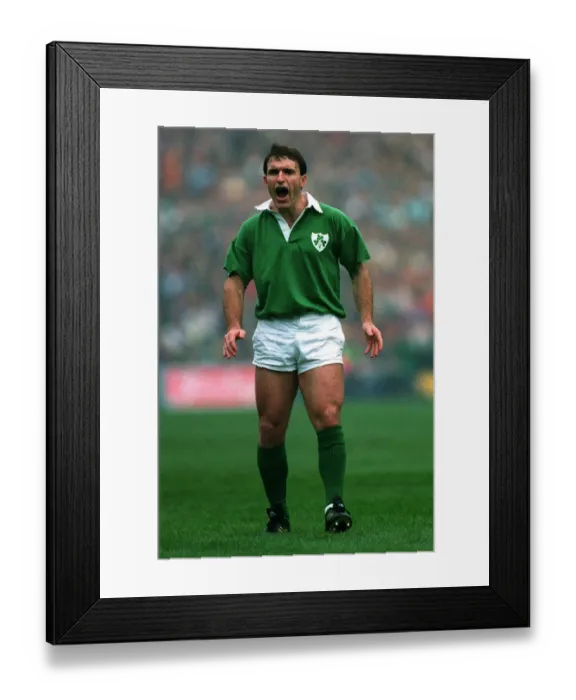 Framed Print : David Curtis Framed Print : David Curtis