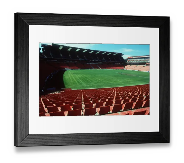 Framed Print : Ellis Park Stadium Framed Print : Ellis Park Stadium