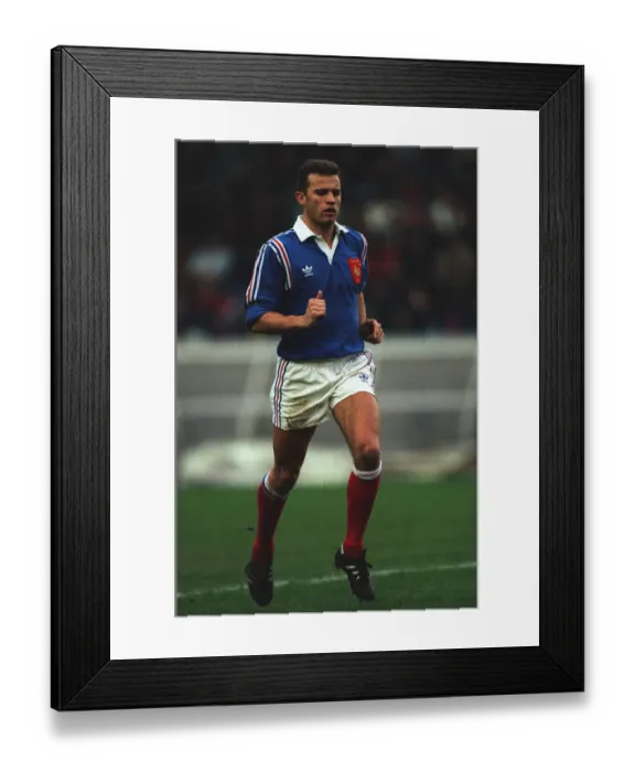 Framed Print : Fabien Galthie Framed Print : Fabien Galthie
