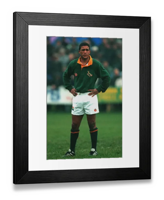 Framed Print : Tinus Linee Framed Print : Tinus Linee