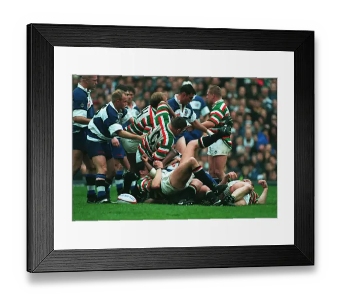Framed Print : Has Anyone Seen The Ball ? Framed Print : Has Anyone Seen The Ball ?
