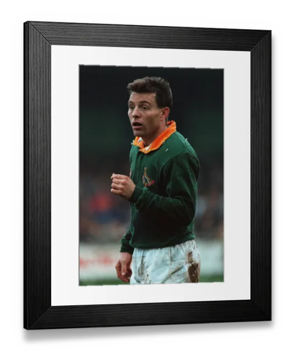 Framed Print : Joel Stransky Framed Print : Joel Stransky